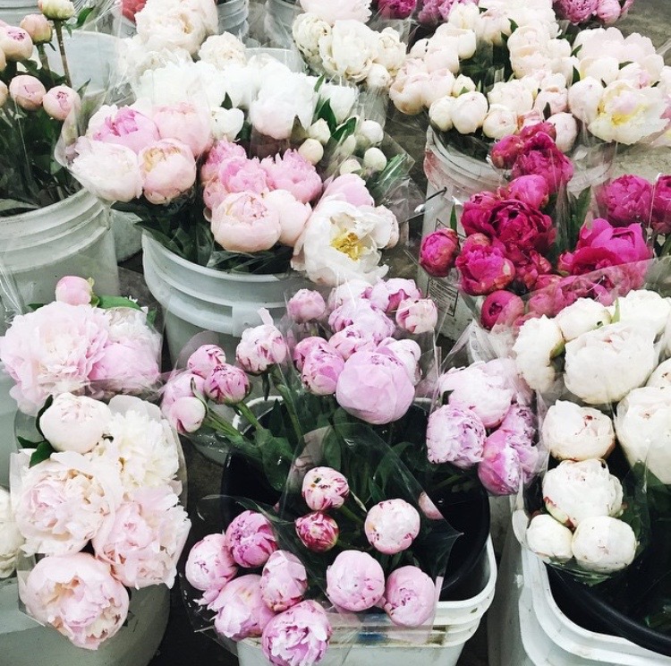 la flower market- sincerely jules